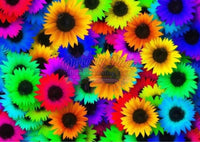 Neon Sunflowers 1