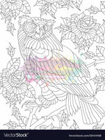 Owl 2-Diy Coloring Canvas