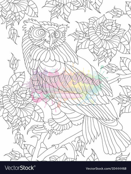 Owl 2-Diy Coloring Canvas