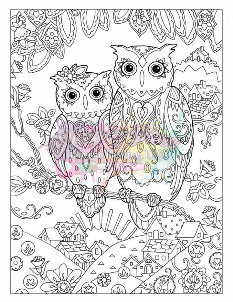 Owls-Diy Coloring Canvas
