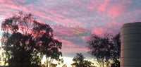 Pink Sky By Rebecca Johnson