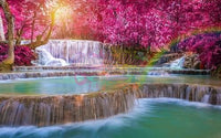 Pink Trees And Waterfall