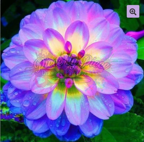 Purple Glow Flower