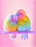 Rainbow Birds-Crystal Rts