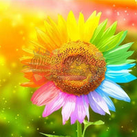 Rainbow Sunflower-Crystal Rts