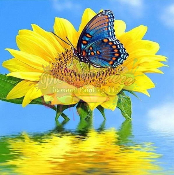 Sunflower Butterfly Reflection -Crystal Rts