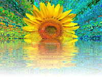 Trippy Sunflower Reflection