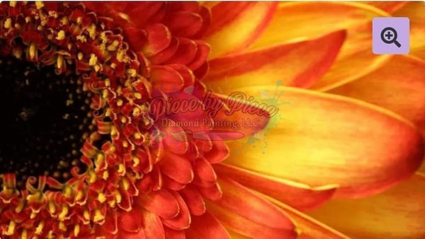 Up Close Sunflower -Crystal Rts